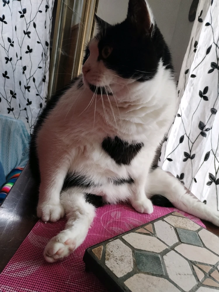 GIF caricata da Lily