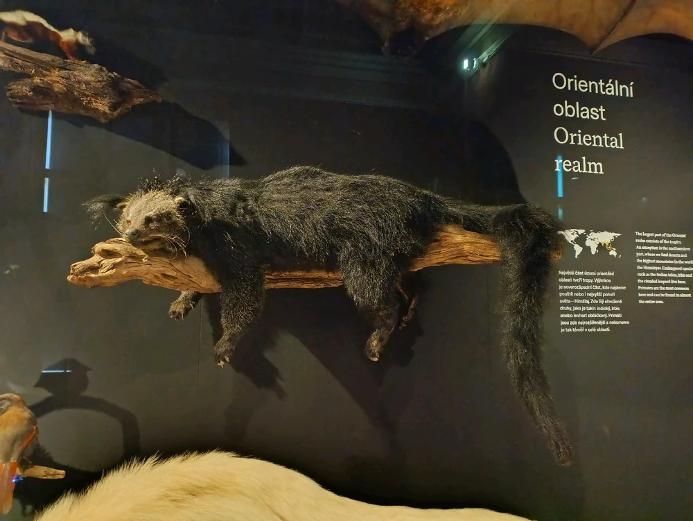 Obrázek nahrál Martin