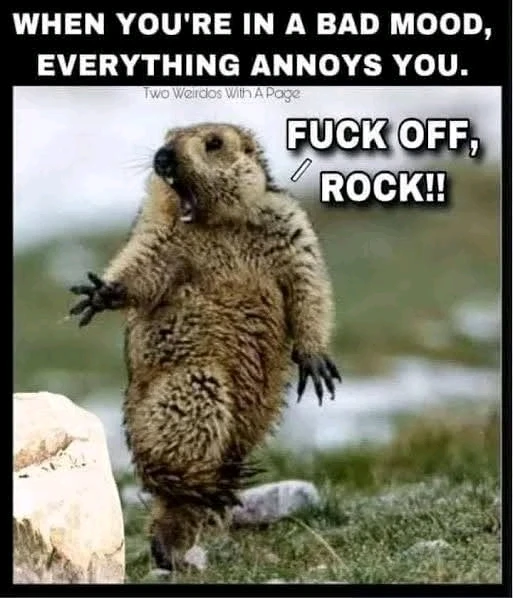 GIF uploaded by Kara