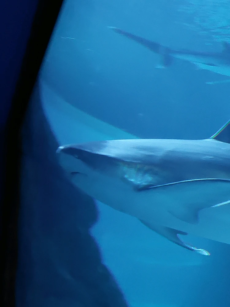 GIF uploaded by Jonathan