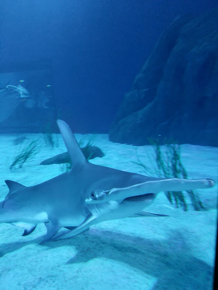 GIF uploaded by Jonathan