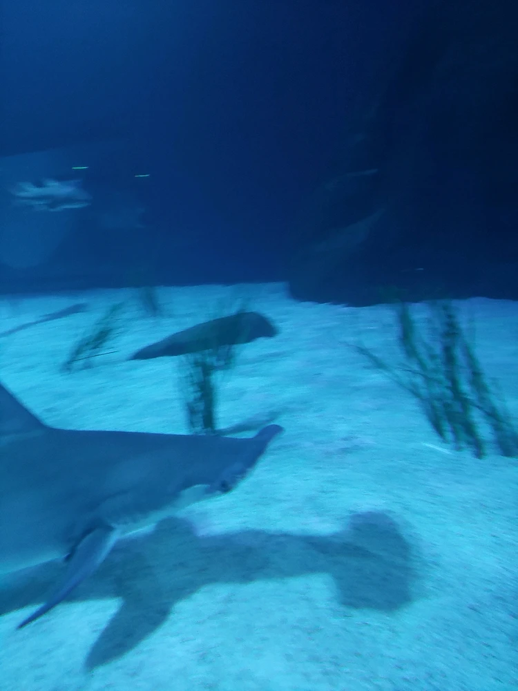 GIF uploaded by Jonathan