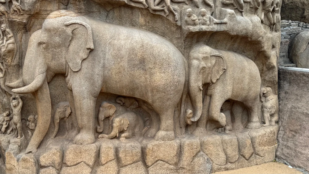 Image uploaded by BHARATH