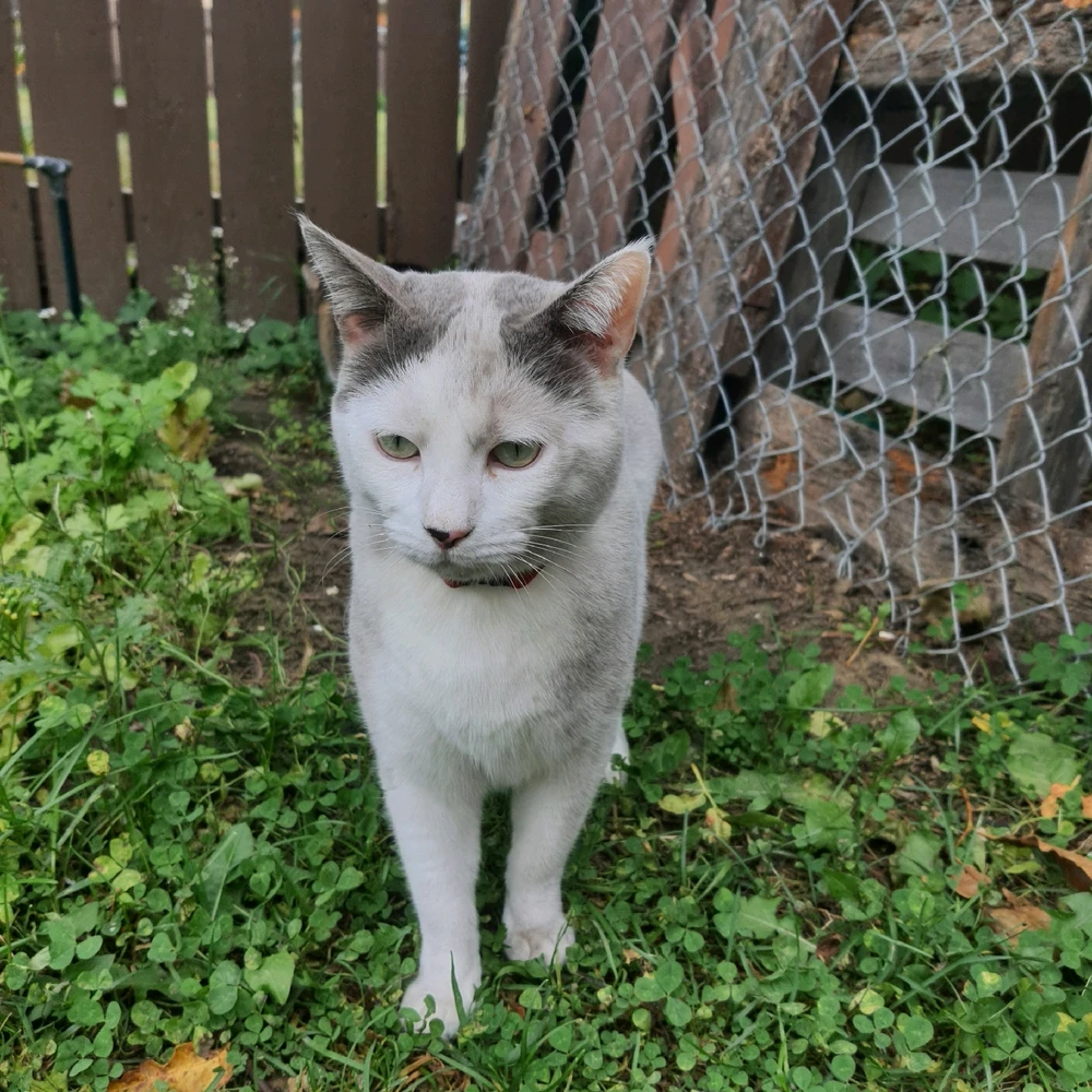 Image uploaded by Sebastian