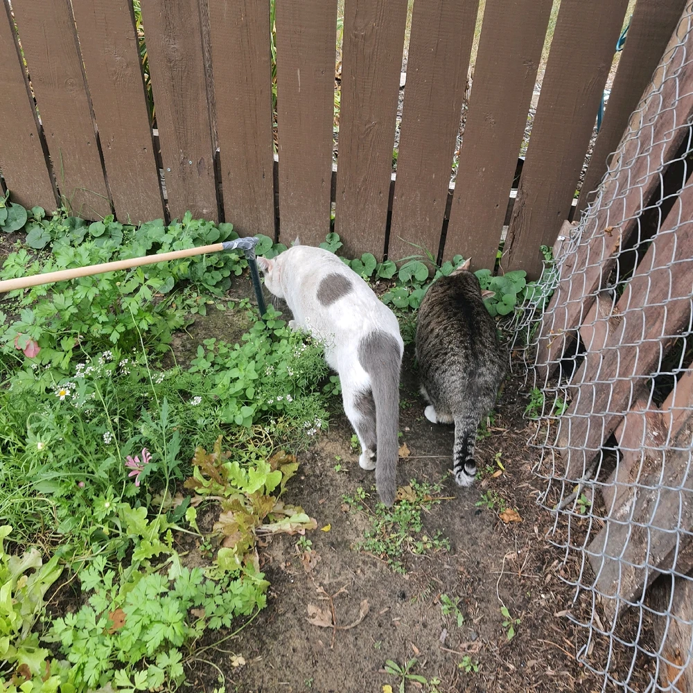 Image uploaded by Sebastian