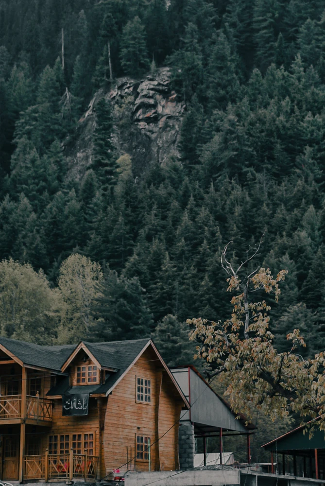 Image uploaded by Zayn