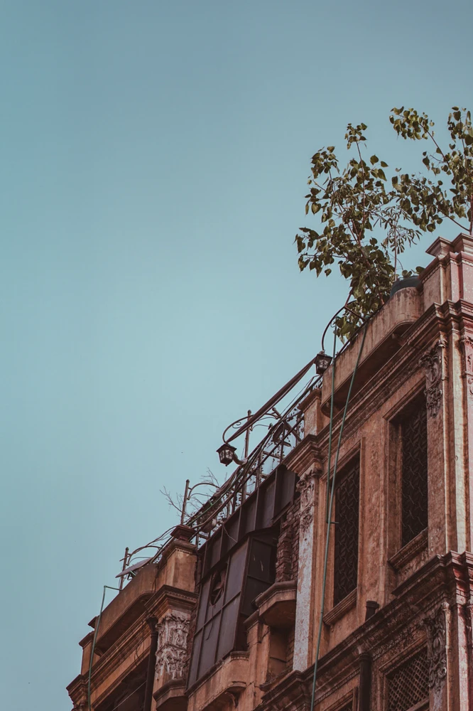 Image uploaded by Zayn