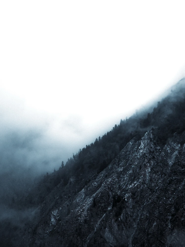 Image uploaded by Zayn