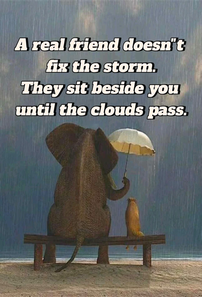 GIF uploaded by GAS 🏴󠁧󠁢󠁥󠁮󠁧󠁿