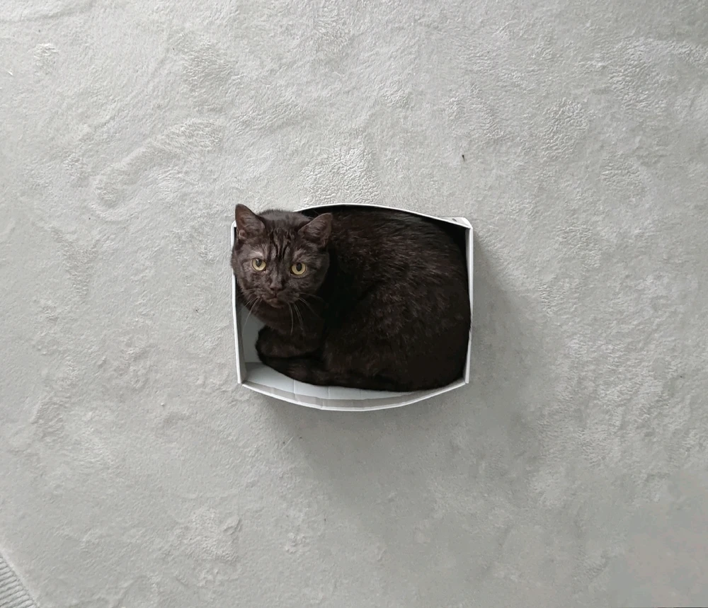 GIF hochgeladen von Alexander