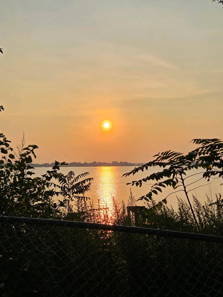 GIF uploaded by Victor vega