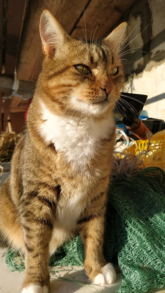 GIF загружаны Евгений