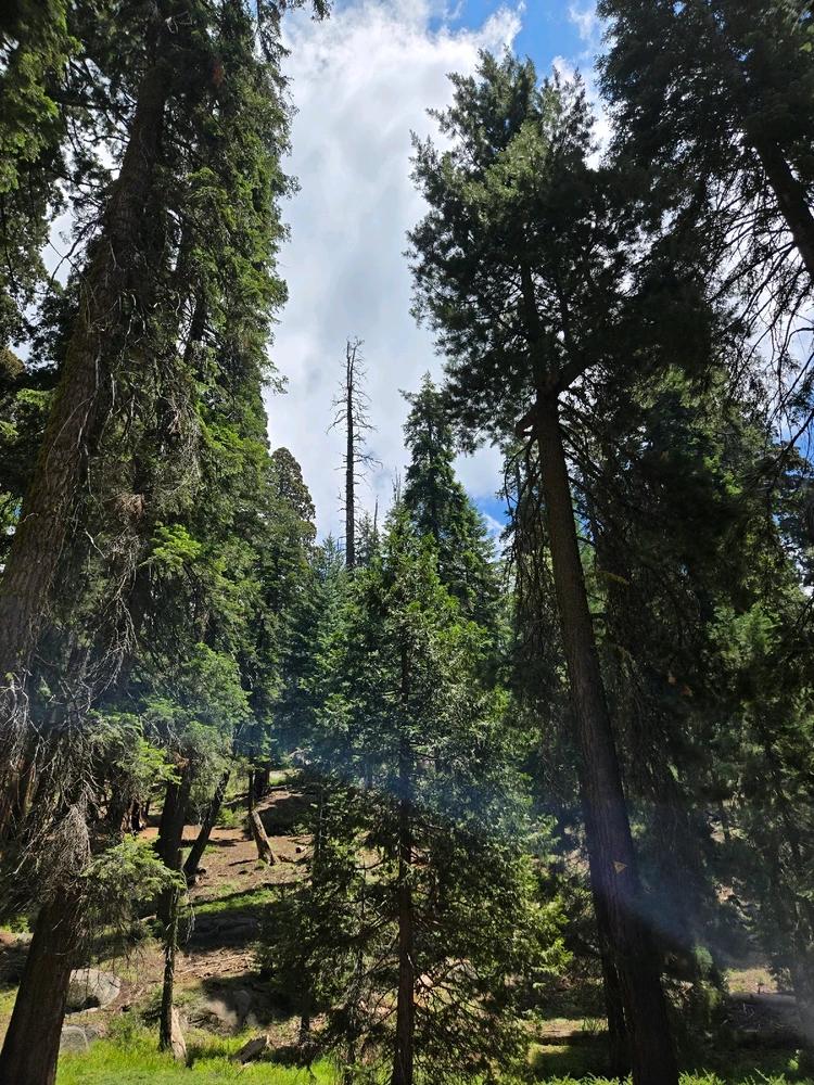 GIF diunggah dening JP