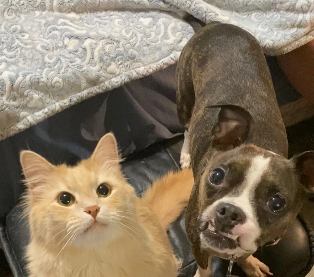 Image uploaded by Kyle