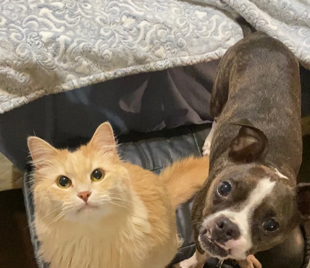 Image uploaded by Kyle