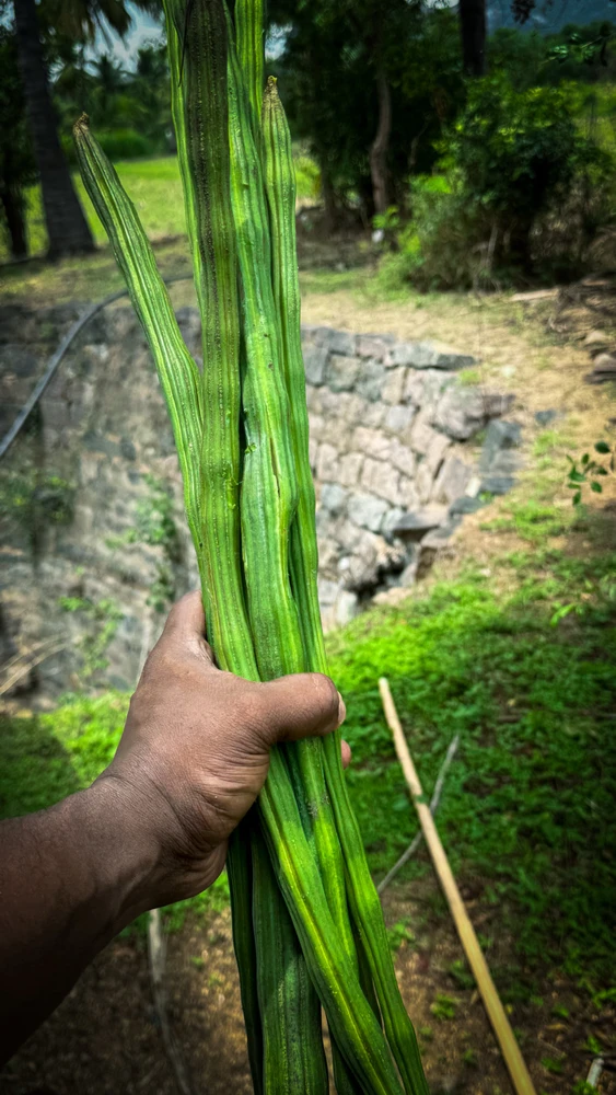 Image uploaded by BHARATH