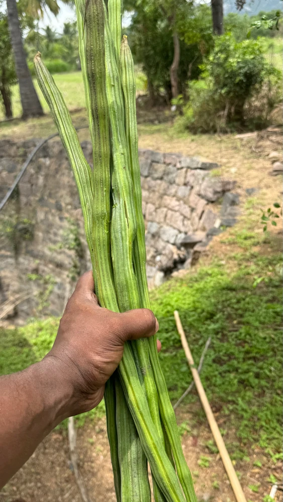 Image uploaded by BHARATH