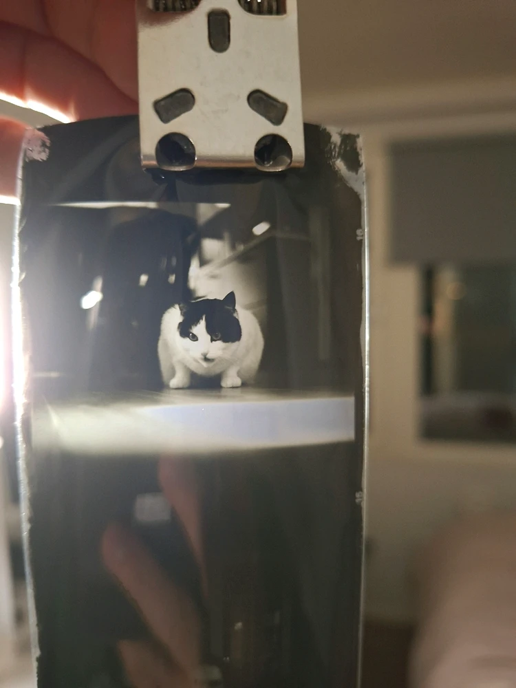 GIF-tiedoston lisäsi Joni