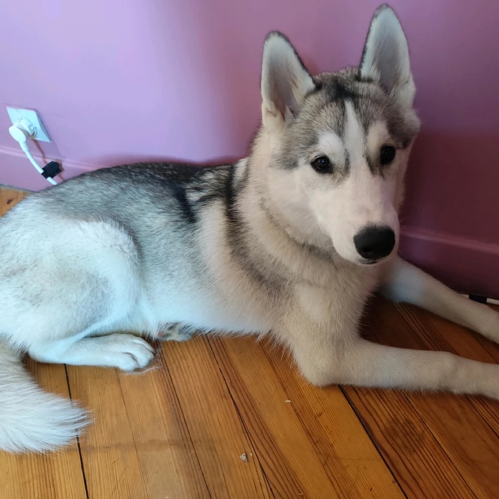 Image ajoutée par Hugo