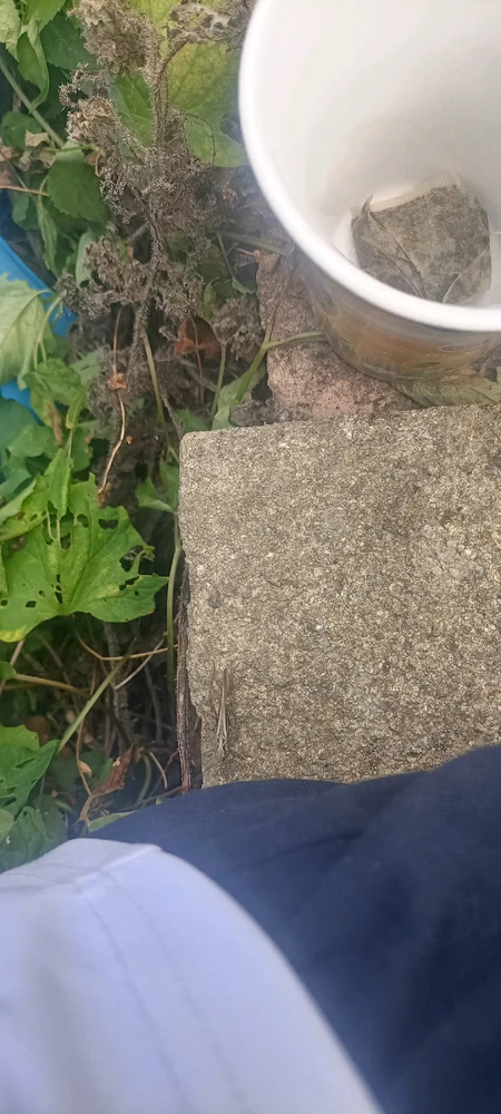 Image uploaded by Rebecca