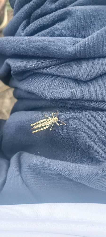 Image uploaded by Rebecca