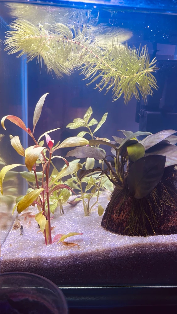 Immagine caricata da Nicolò