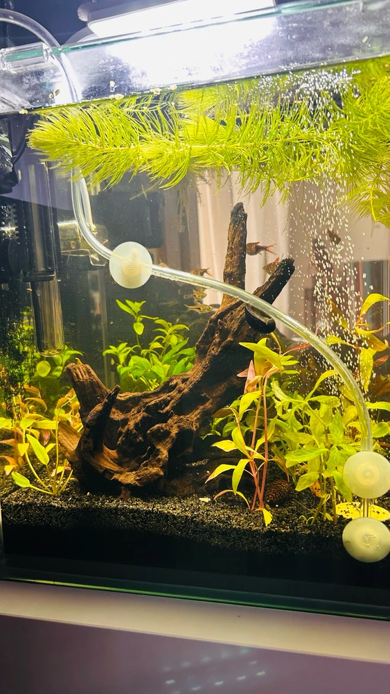 Immagine caricata da Nicolò