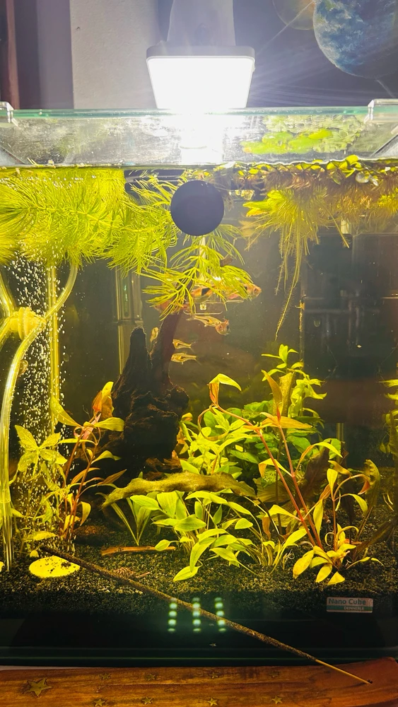 Immagine caricata da Nicolò