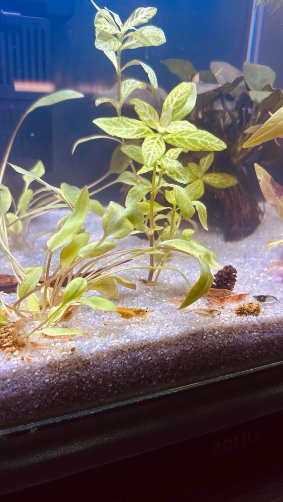 Immagine caricata da Nicolò