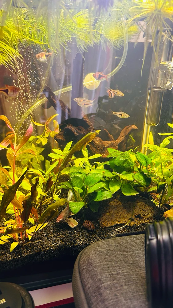 Immagine caricata da Nicolò