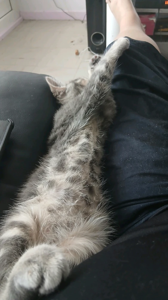 Wendy position fitness