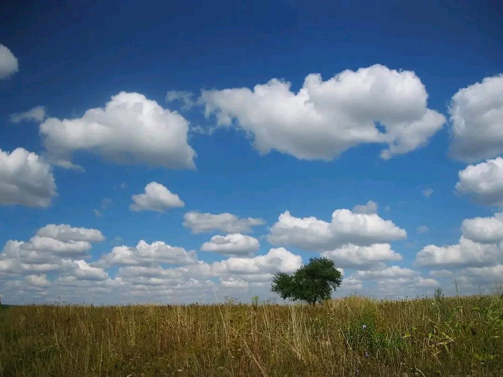 Гіфку завантажив Ksju_Ost