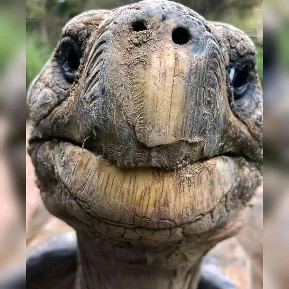 GIF ajouté par Stef