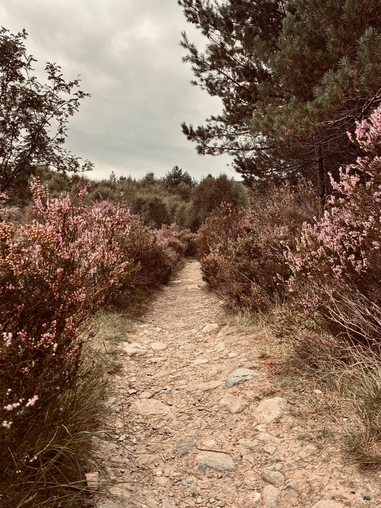 GIF hochgeladen von Tom