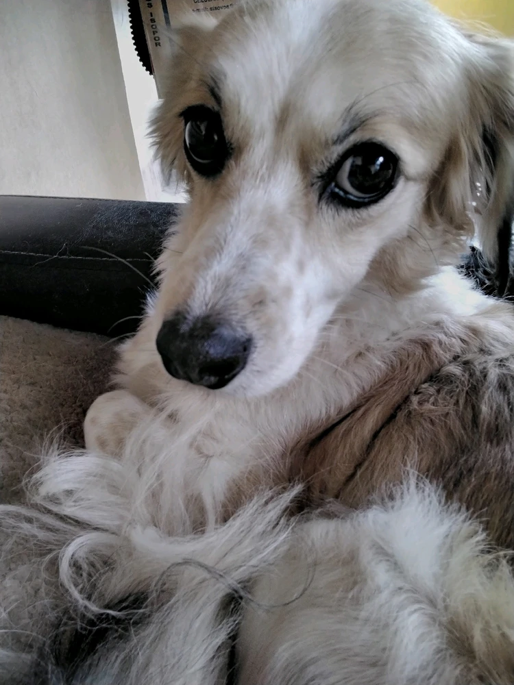 Imagem enviada por Quezia