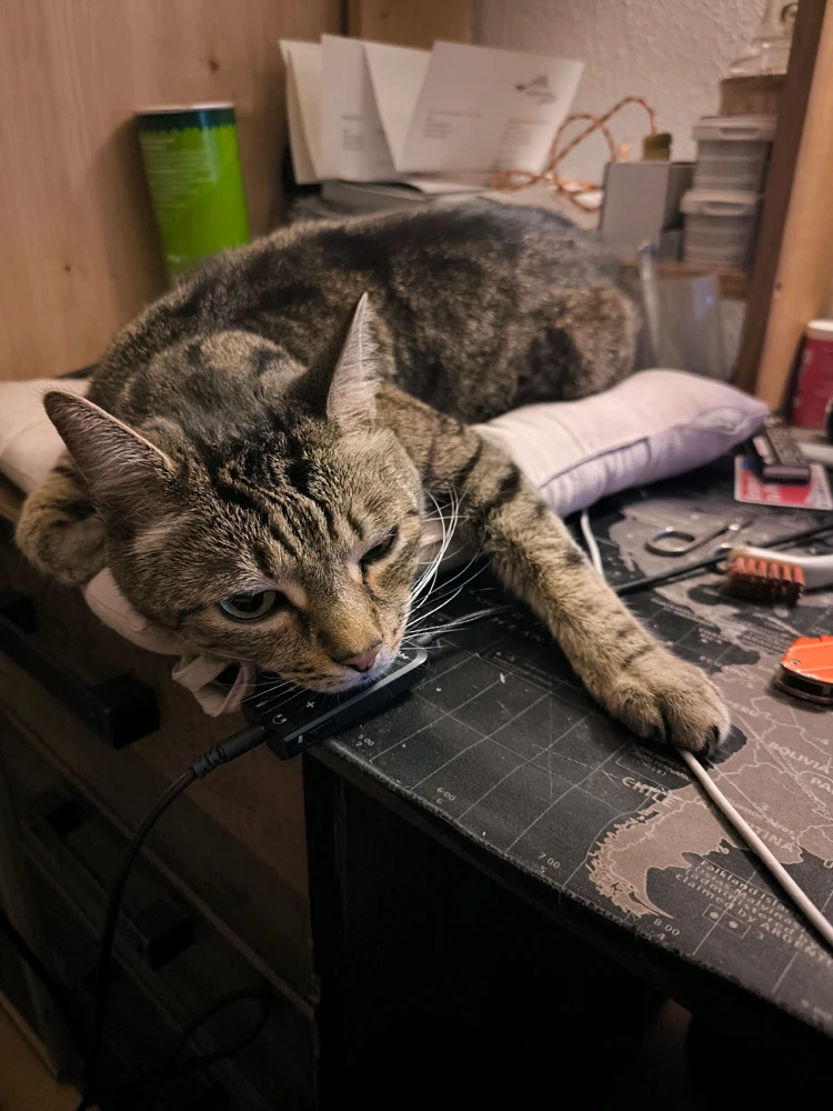 GIF hochgeladen von Elias