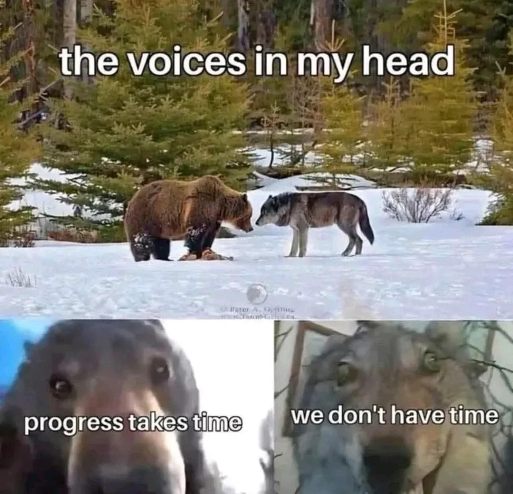 GIF încărcat de Costi