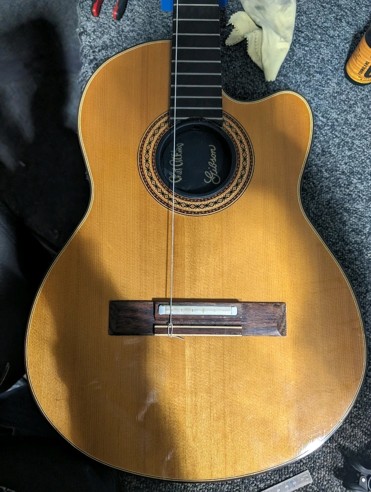 Image uploaded by Liam