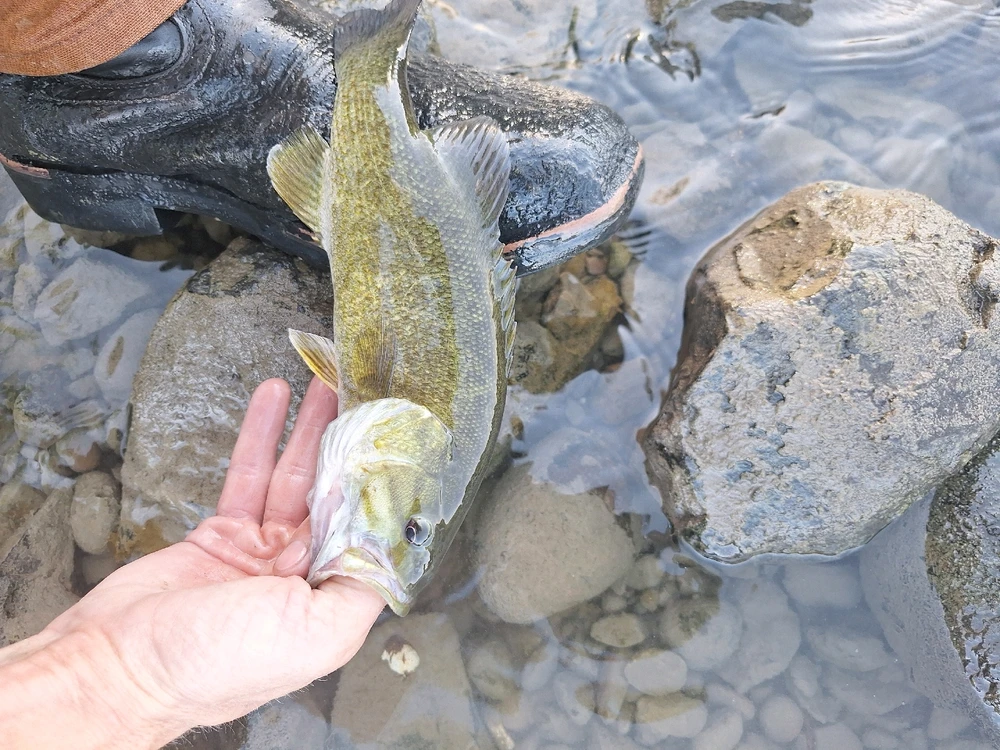 Image uploaded by John