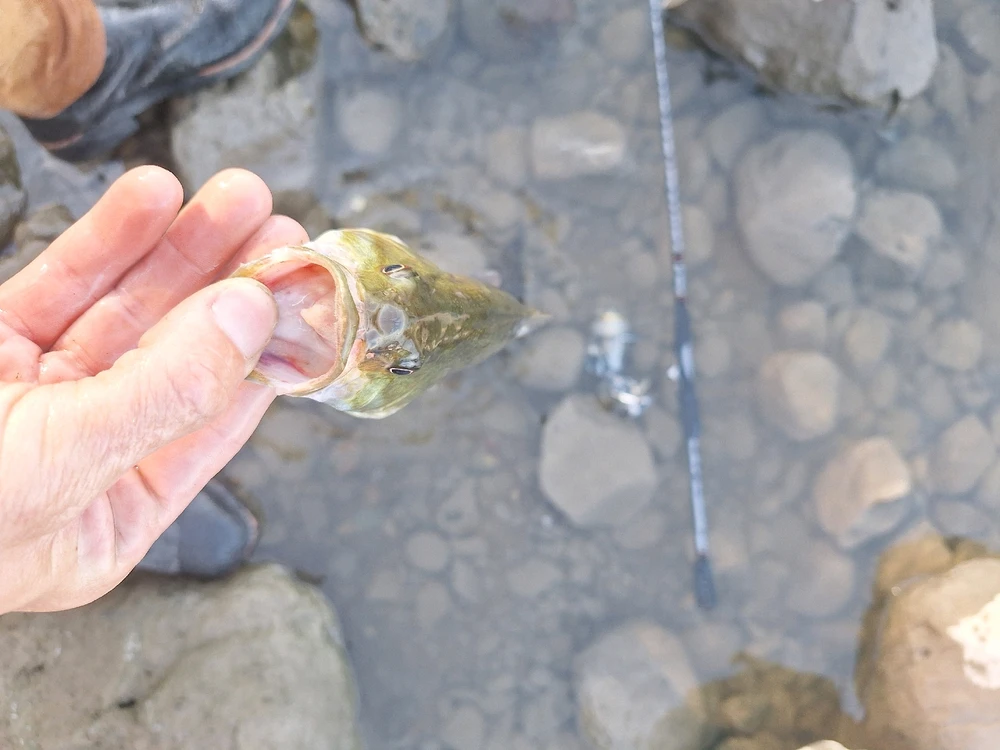 Image uploaded by John