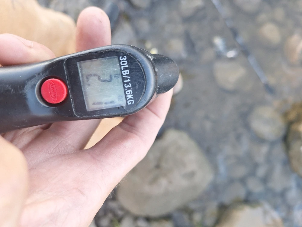 Image uploaded by John