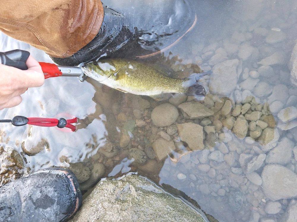 Image uploaded by John