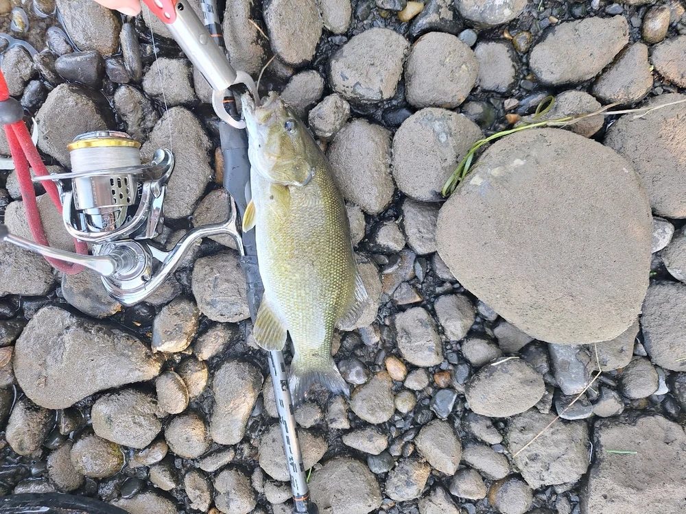 Image uploaded by John