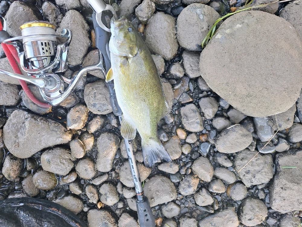 Image uploaded by John