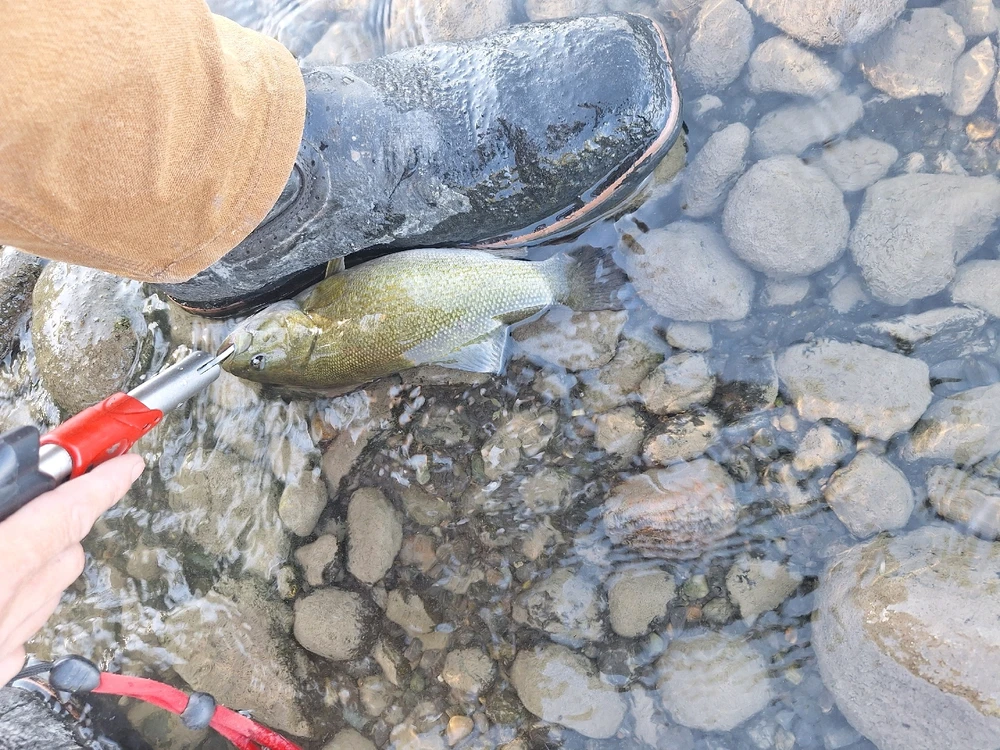 Image uploaded by John