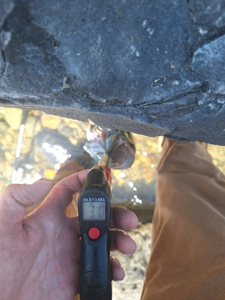 Image uploaded by John