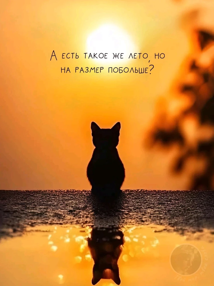 GIF загрузил Juliya