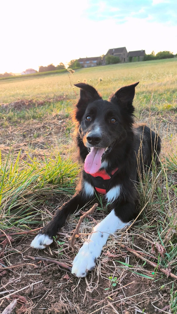 GIF ajouté par Aurélien