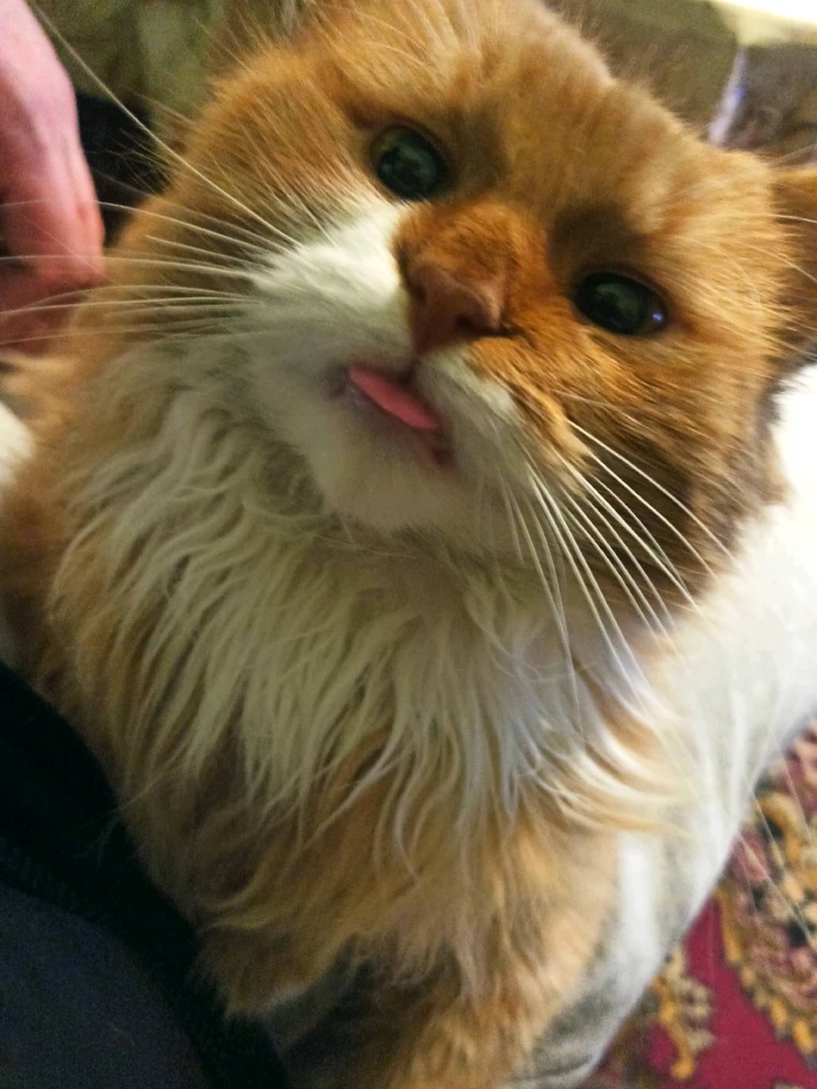 GIF hochgeladen von Daniel