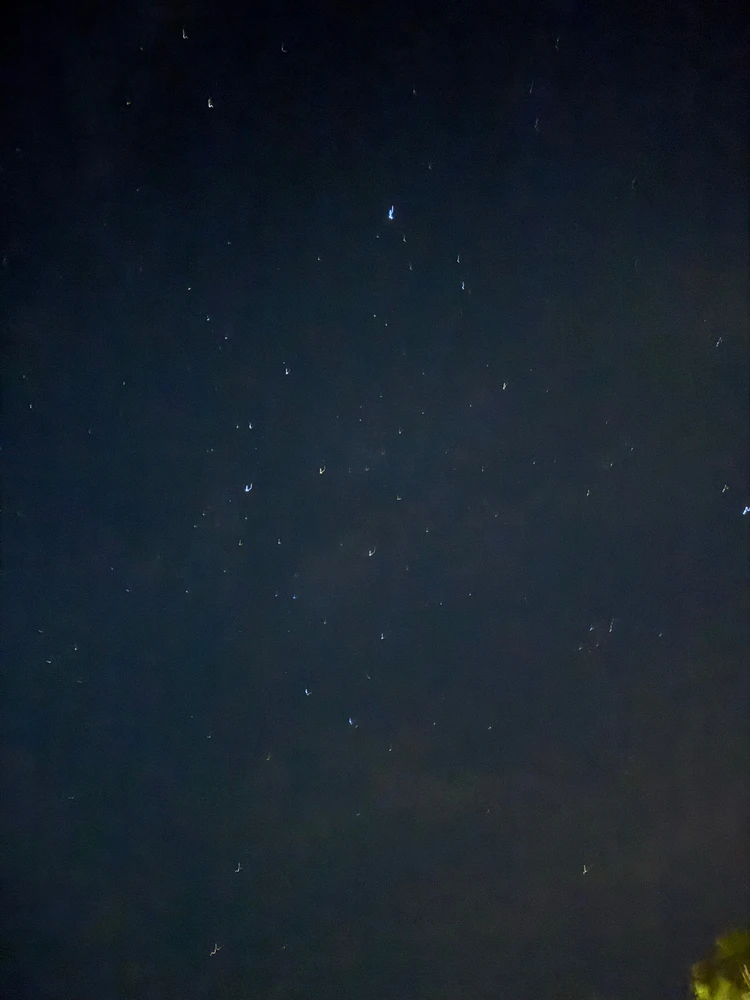 Image uploaded by Michael